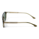 Glassesbd Executive Sunnies